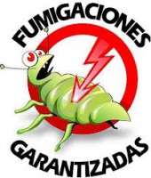 /album/fotogaleria-inicio1/descarga-jpg1/