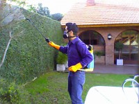 /album/fotogaleria-inicio1/fumigaciones-spifa-fumigador-3-jpg1/